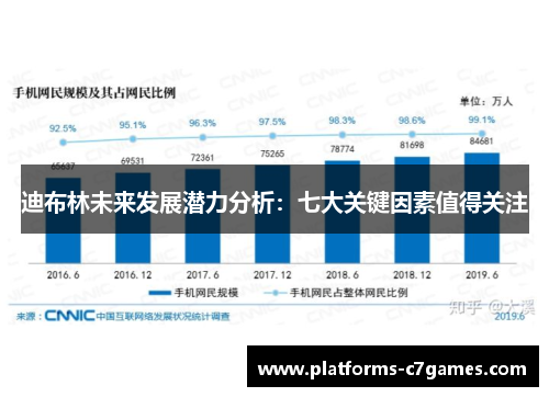 迪布林未来发展潜力分析：七大关键因素值得关注